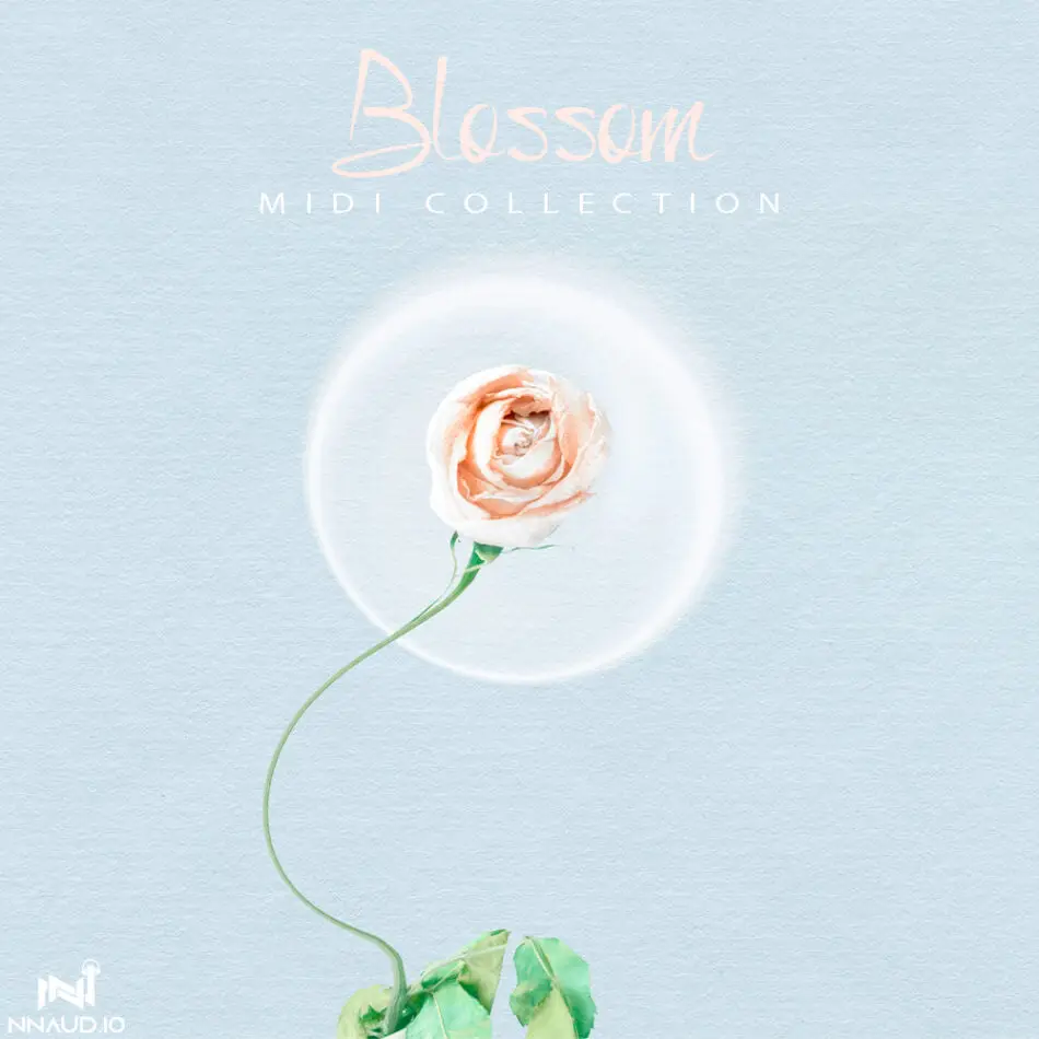 Blossom MIDI